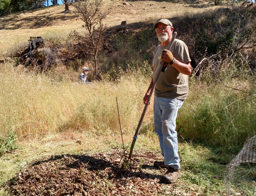 Cory spreading mulch, Deb clearing weeds around a burned oak tree that is re-sprouting at the base!